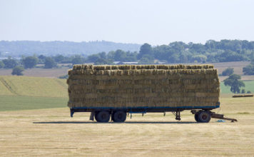 Gods tijd om te oogsten