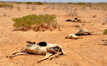 waarom laat God alle ellende toe?