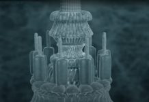 de bacteriele zweephaar: nanomachines zijn onder ons