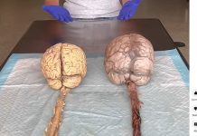 zeg mij nog eens dat er geen God bestaat