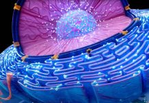 dus u denkt dat God niet bestaat? Robots aan het werk in ons lichaam