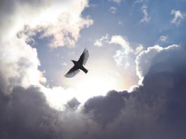 de bovennatuurlijke vrede van God